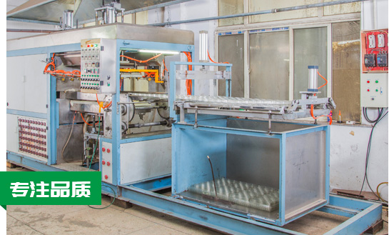 專(zhuān)業(yè)服務(wù)規(guī)避風(fēng)險(xiǎn)