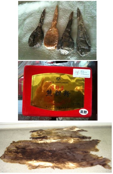 海關(guān)查獲野生動(dòng)植物,外貿(mào)代理,外貿(mào)進(jìn)出口代理