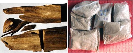 海關(guān)查獲野生動(dòng)植物,外貿(mào)代理,外貿(mào)進(jìn)出口代理