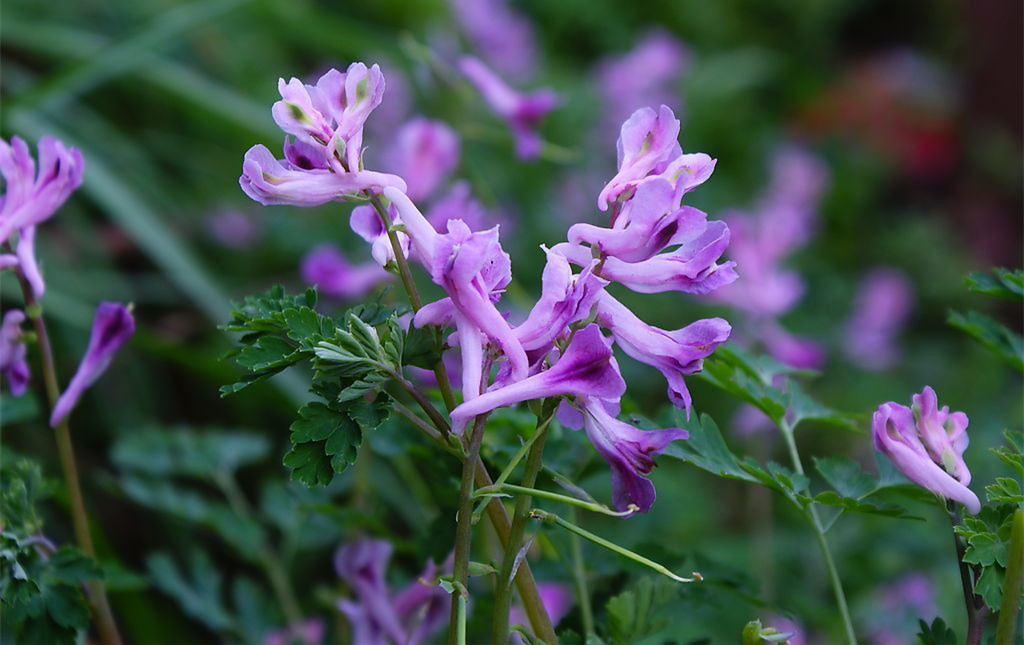 紅酒進(jìn)出口,外貿(mào)代理,瀚而普