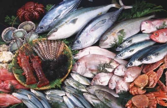 水產(chǎn)品進(jìn)口
