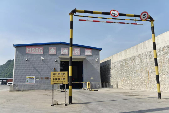 水果進口 水果進口