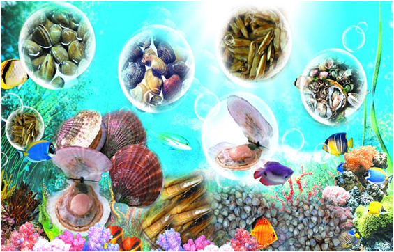 海鮮外貿(mào)進(jìn)口代理公司