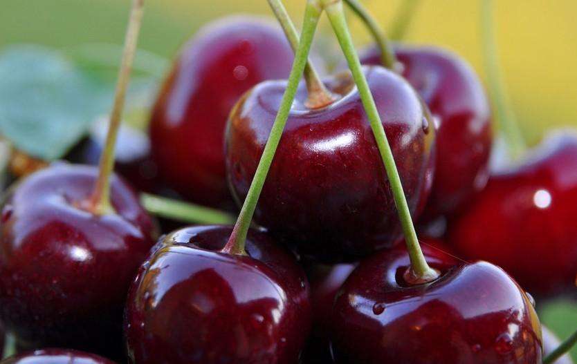 車?yán)遄油赓Q(mào)進口代理公司 車?yán)遄油赓Q(mào)進口代理公司