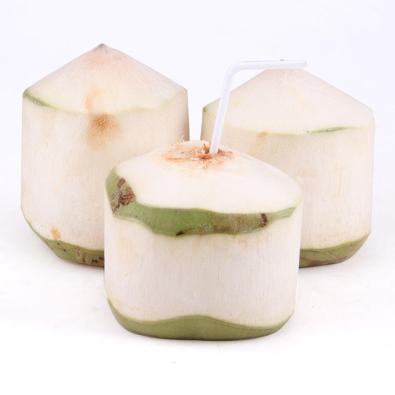 椰青進(jìn)口外貿(mào)代理公司