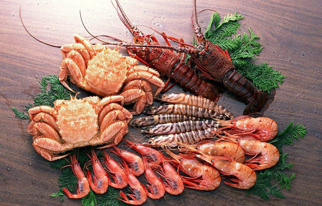 上海海鮮進(jìn)口外貿(mào)代理公司