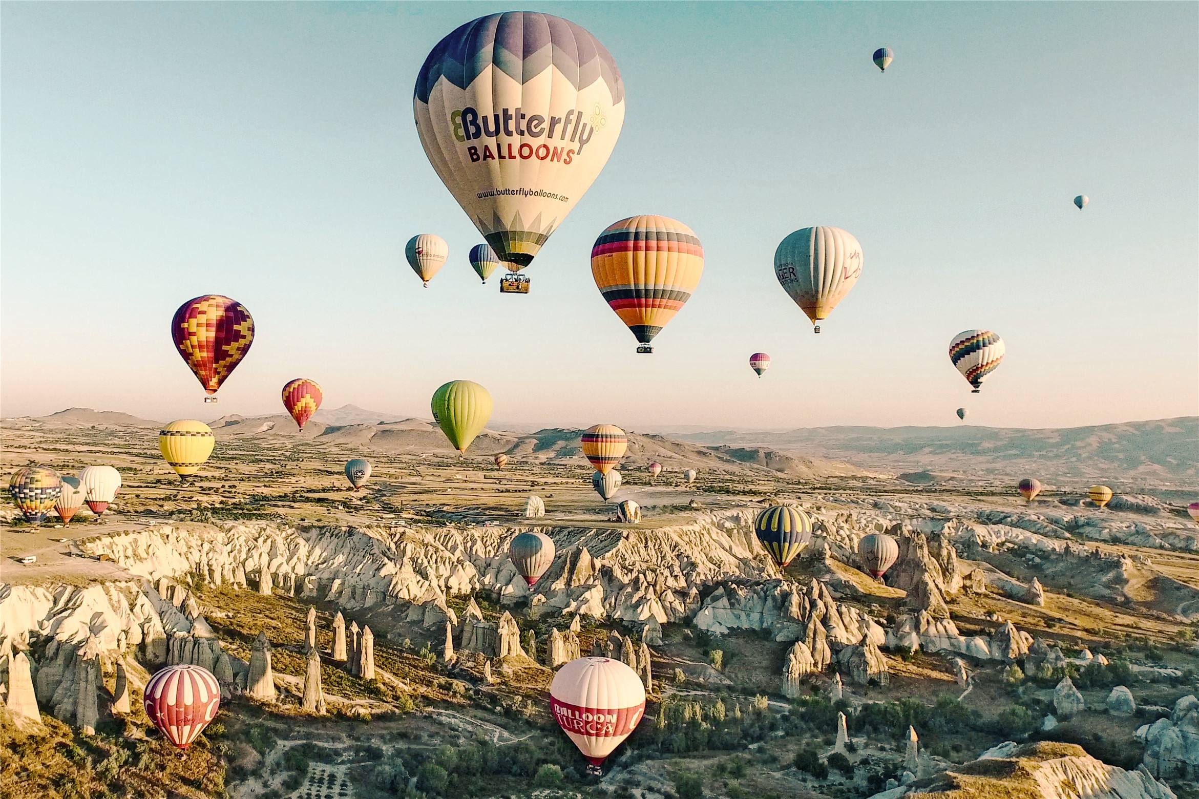 外貿(mào)進(jìn)口代理