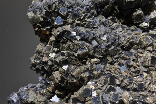 進口外貿(mào)代理