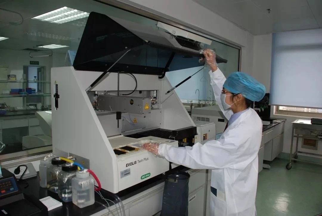 出口外貿(mào)代理