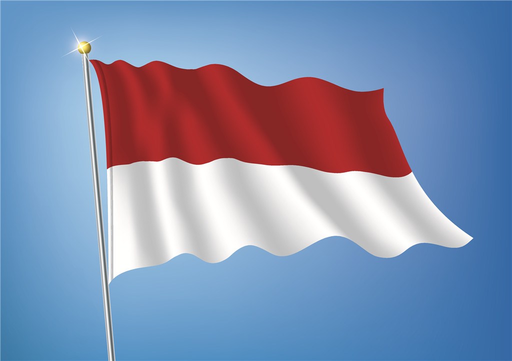 外貿(mào)出口代理