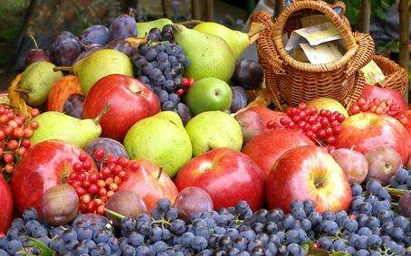 外貿(mào)進(jìn)口代理