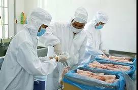 進口外貿(mào)代理 