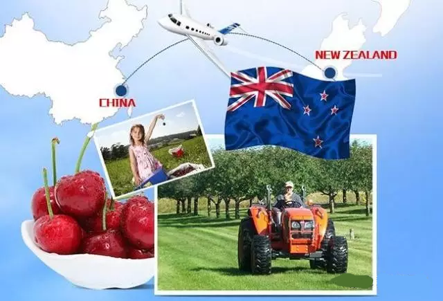 進(jìn)口外貿(mào)代理