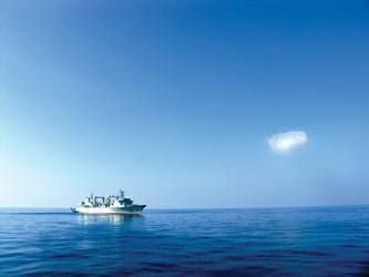 上海外貿(mào)進(jìn)出口公司