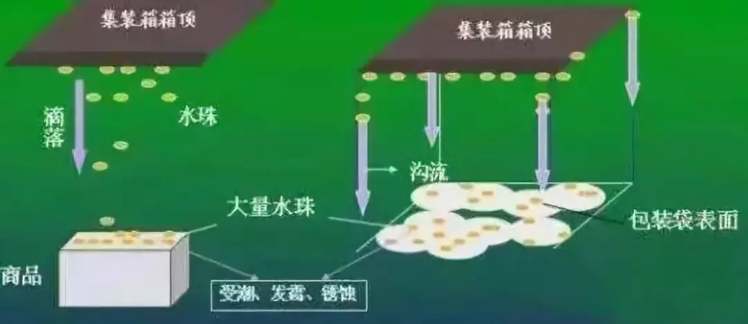 外貿(mào)出口代理