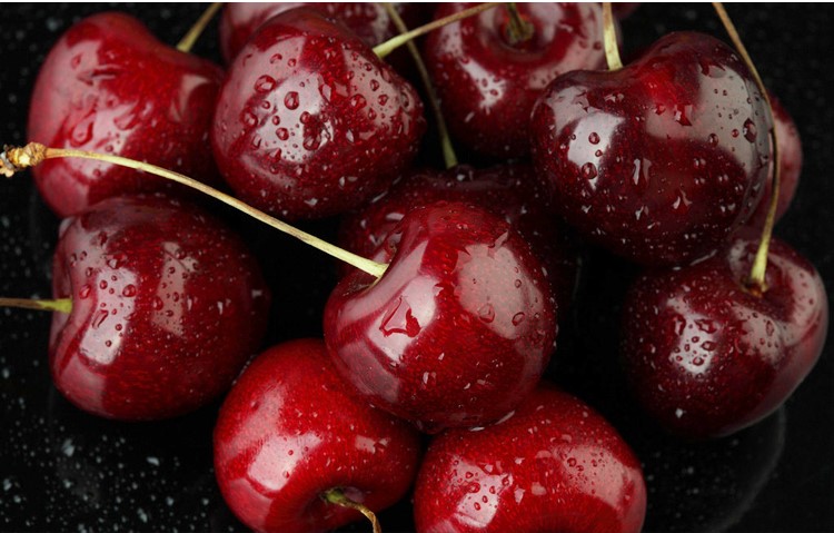 外貿(mào)進(jìn)口代理