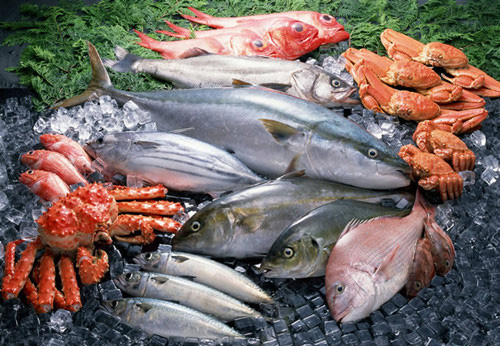 冷凍海鮮進口外貿(mào)代理