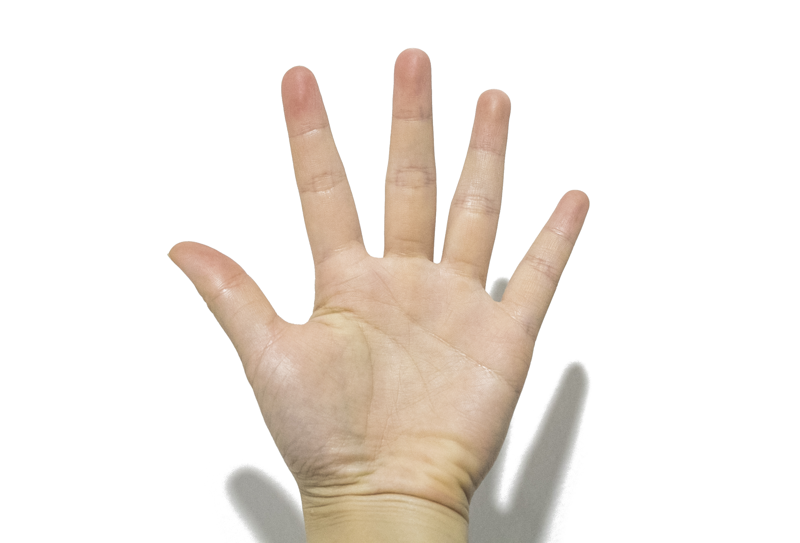 出口外貿(mào)代理