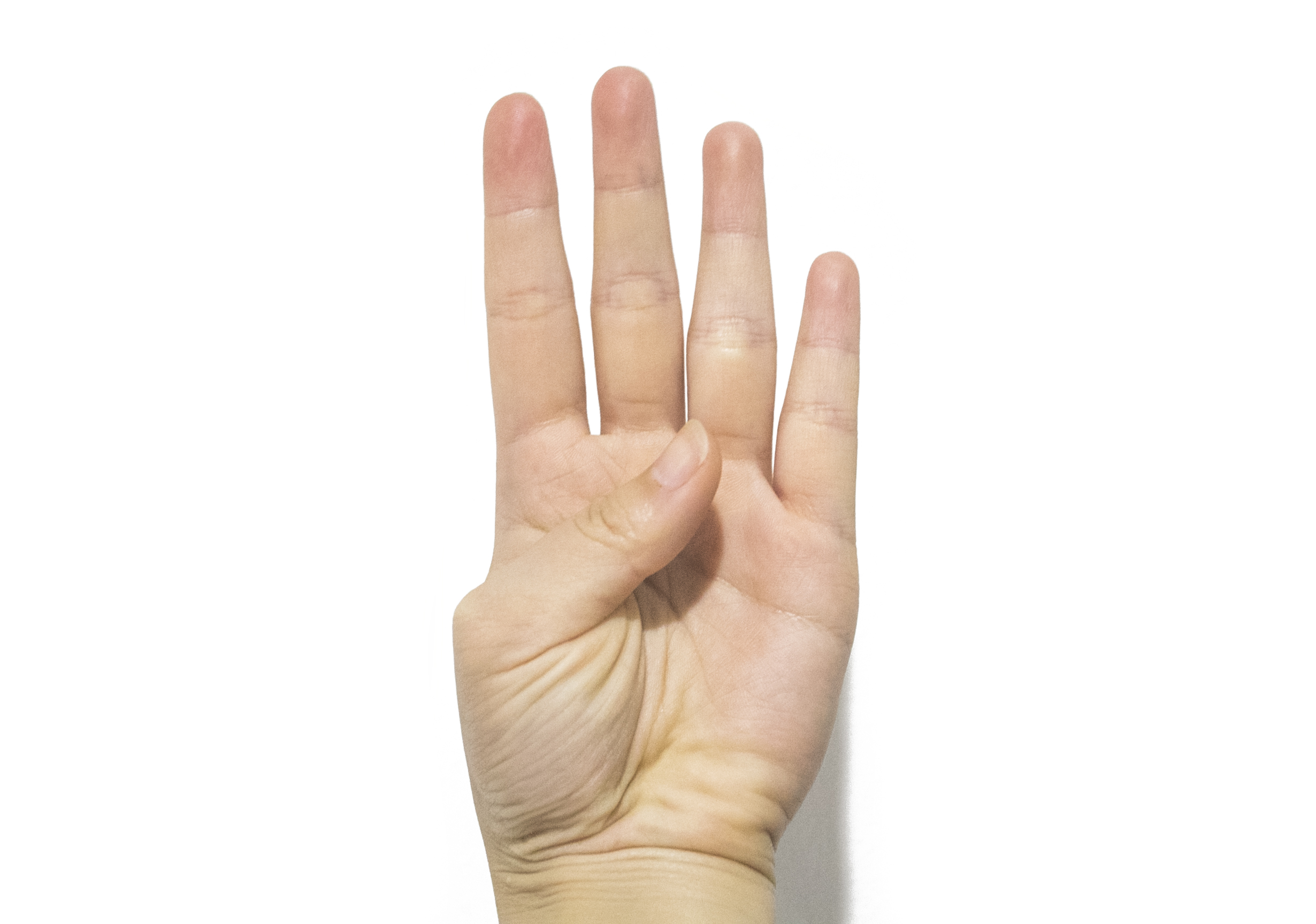 外貿(mào)出口代理