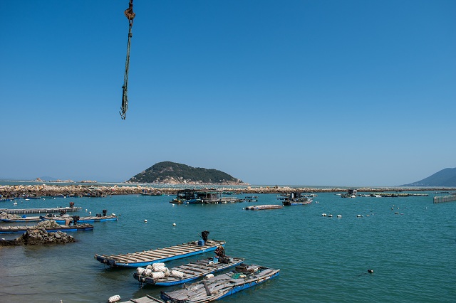 外貿(mào)出口代理