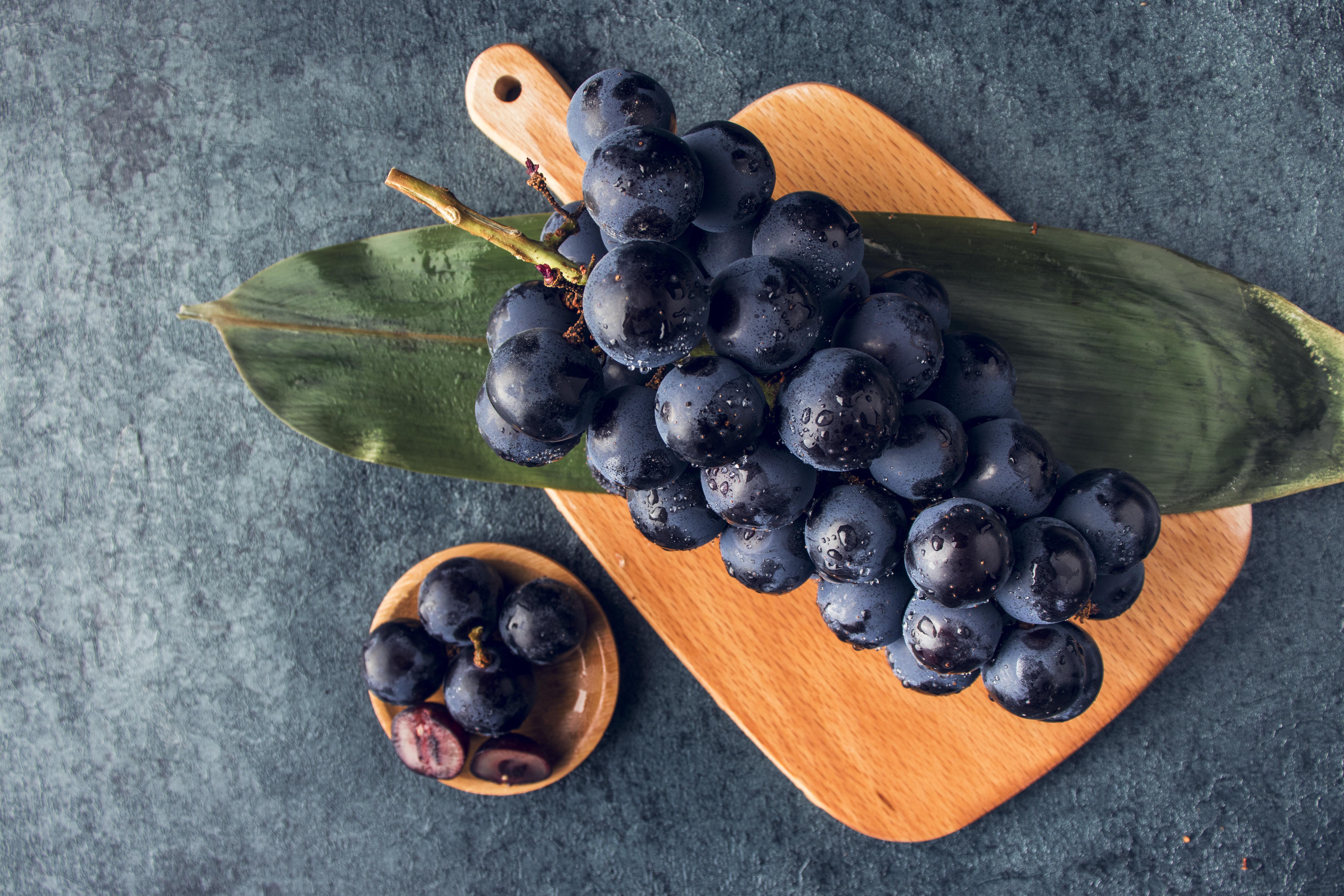 出口外貿(mào)代理