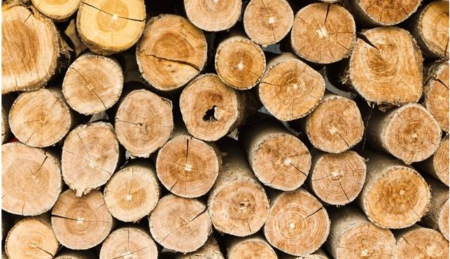 木材進(jìn)口