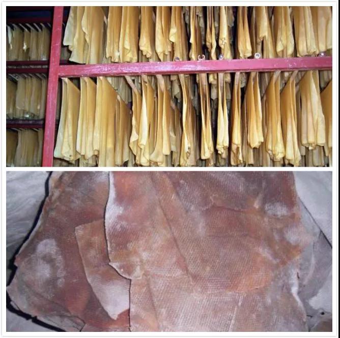 外貿(mào)進(jìn)口代理