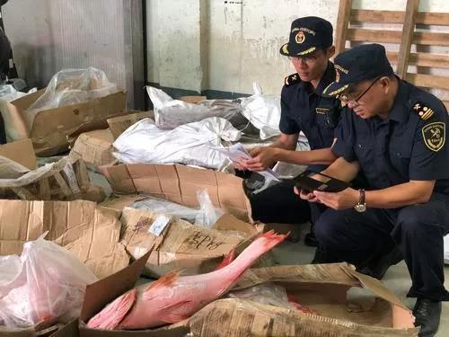 外貿(mào)進(jìn)口代理