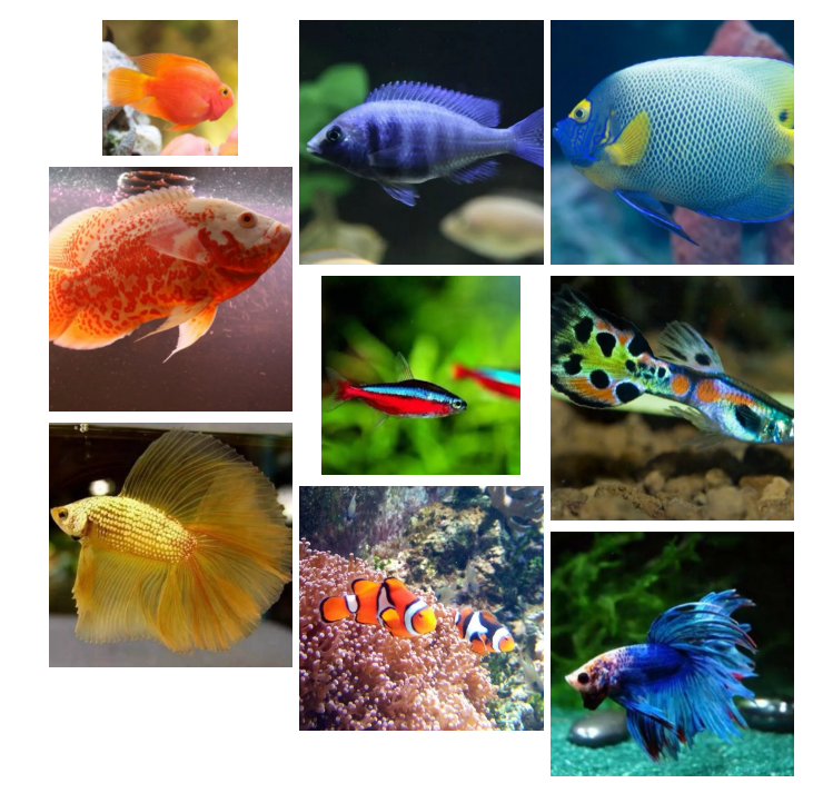 進(jìn)口外貿(mào)代理