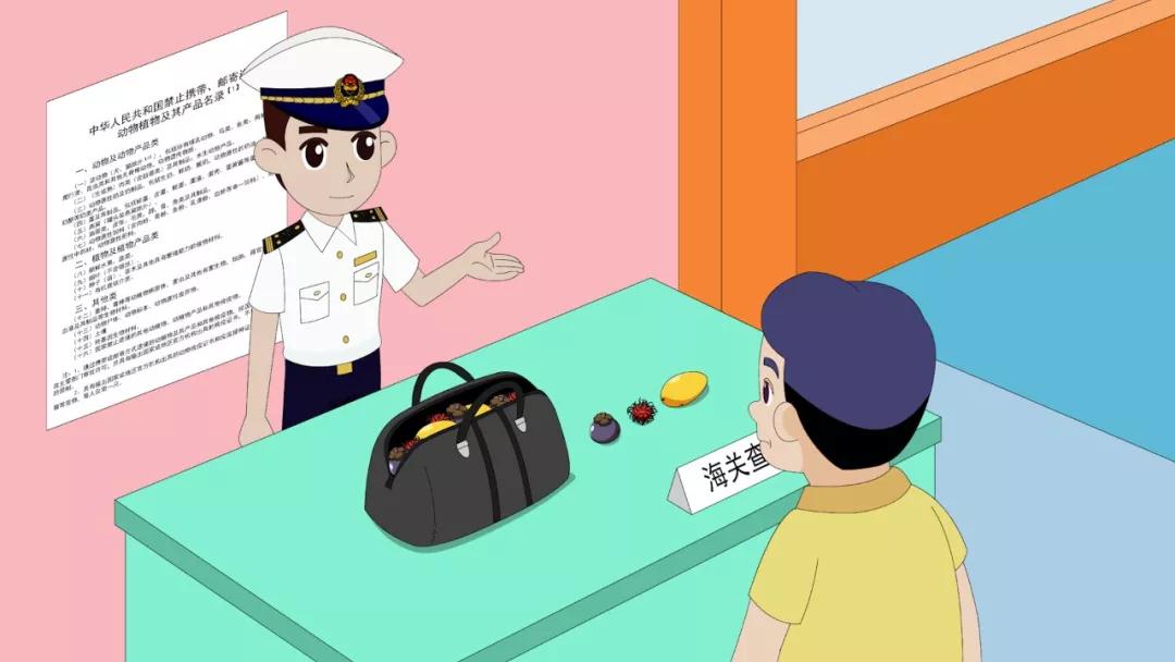 進(jìn)口外貿(mào)代理