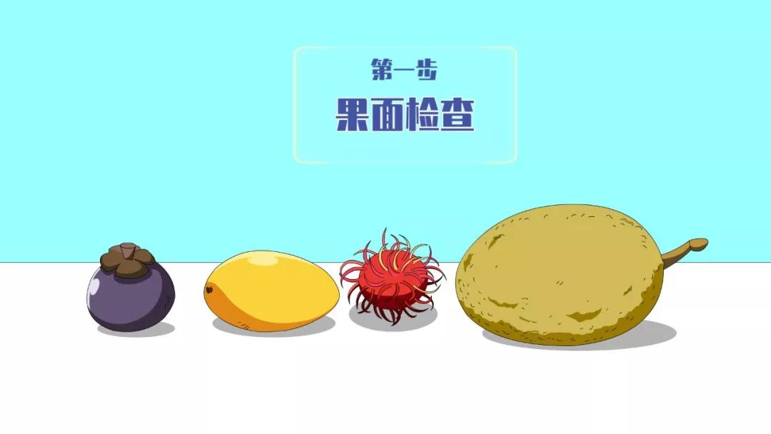 進(jìn)口外貿(mào)代理