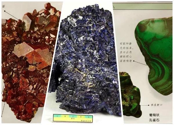 進(jìn)口外貿(mào)代理