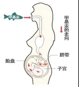 出口外貿(mào)代理