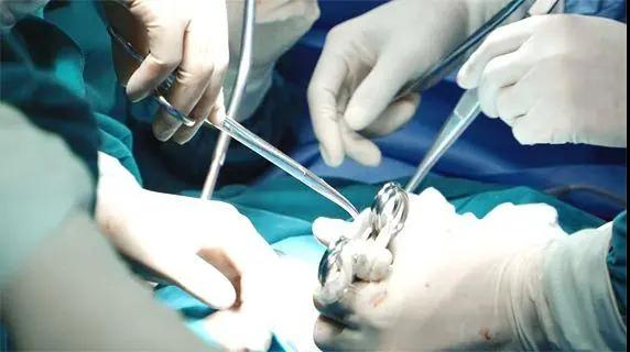 出口外貿(mào)代理