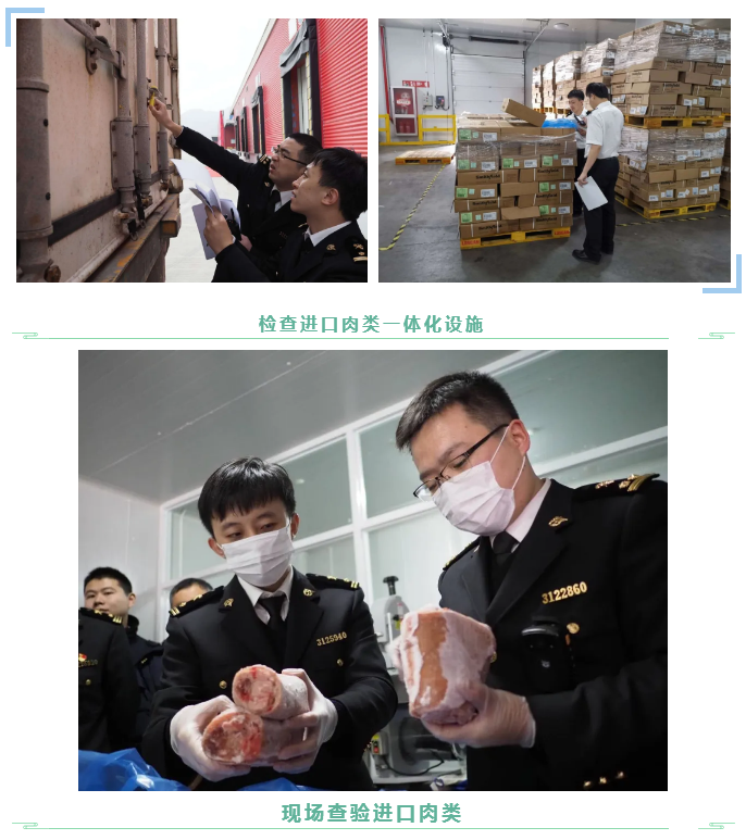 出口外貿(mào)代理