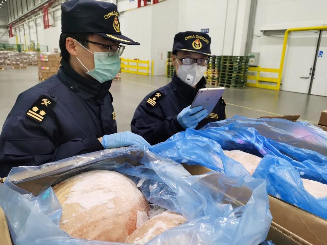 進(jìn)口外貿(mào)代理