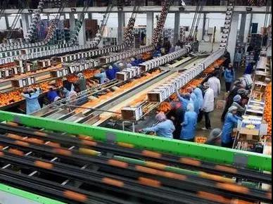 出口外貿(mào)代理