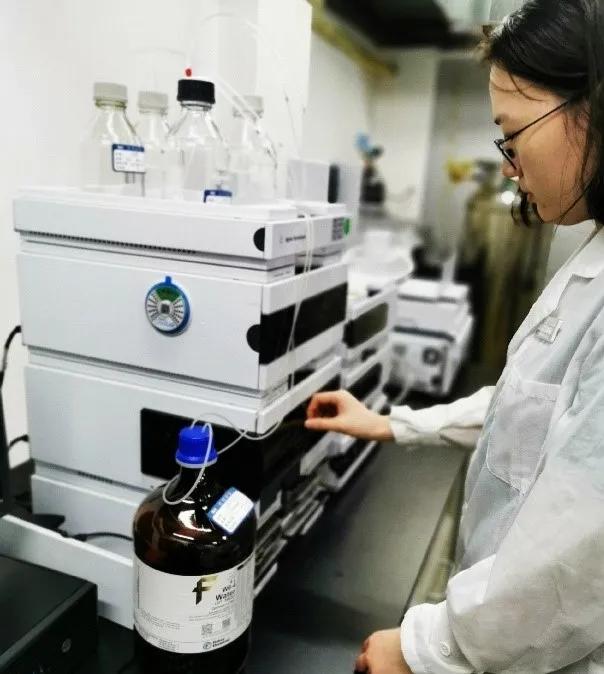 進(jìn)口外貿(mào)代理