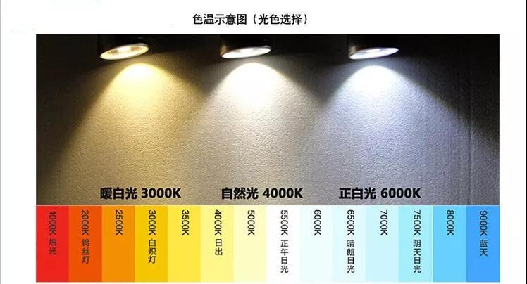 進(jìn)口外貿(mào)代理