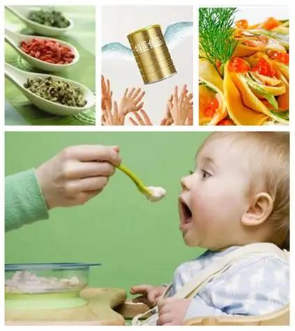 進(jìn)口外貿(mào)代理