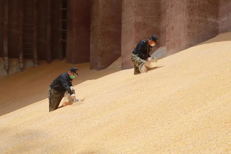 進口外貿(mào)代理