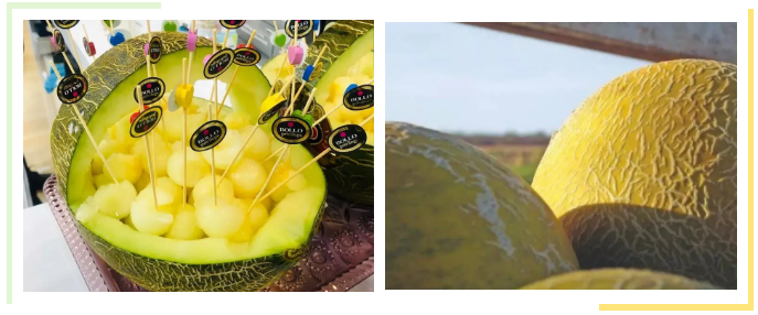 進口外貿(mào)代理