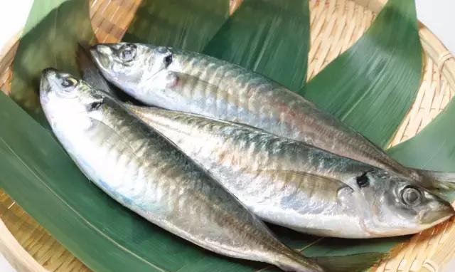 進口外貿(mào)代理