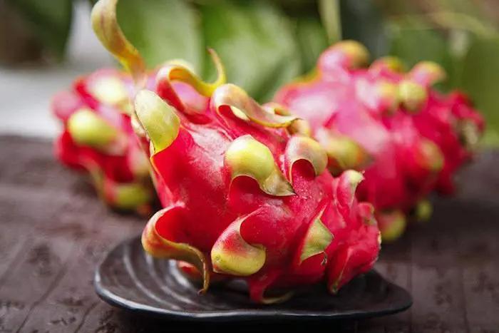 進(jìn)口外貿(mào)代理