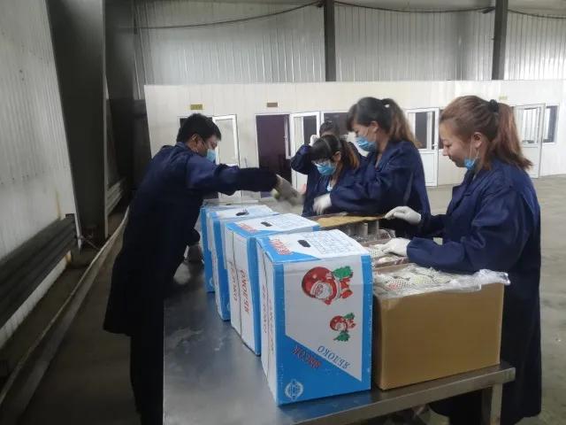 出口外貿(mào)代理