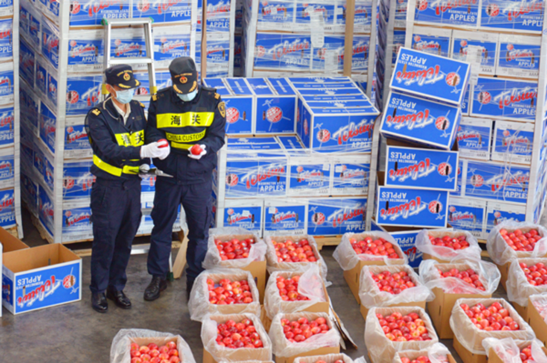 進(jìn)口外貿(mào)代理