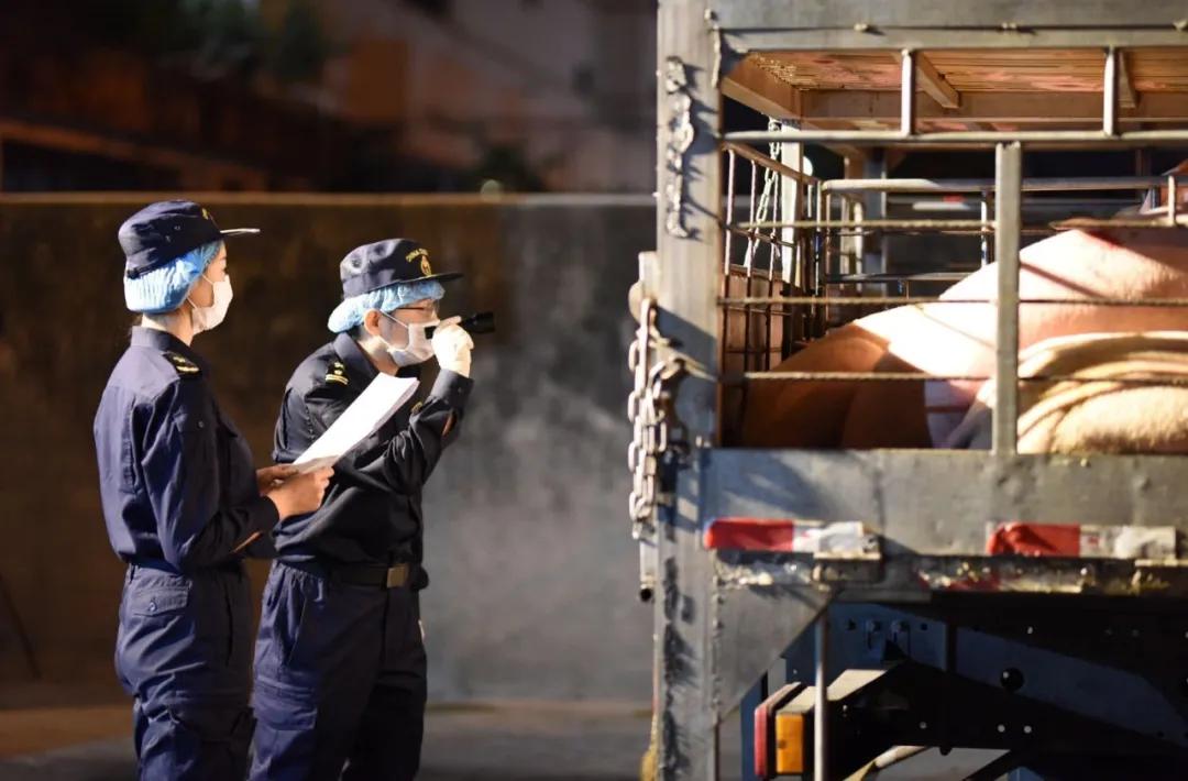 進(jìn)口外貿(mào)代理