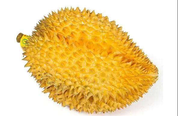 進口外貿(mào)代理