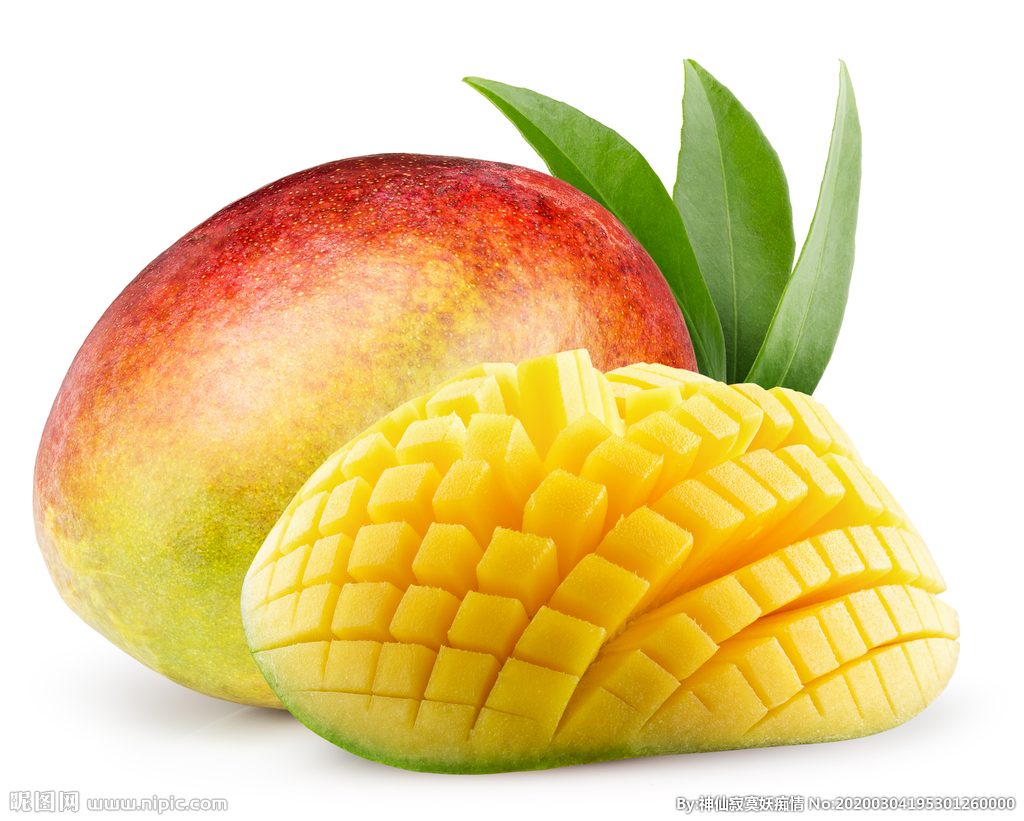 進(jìn)口外貿(mào)代理