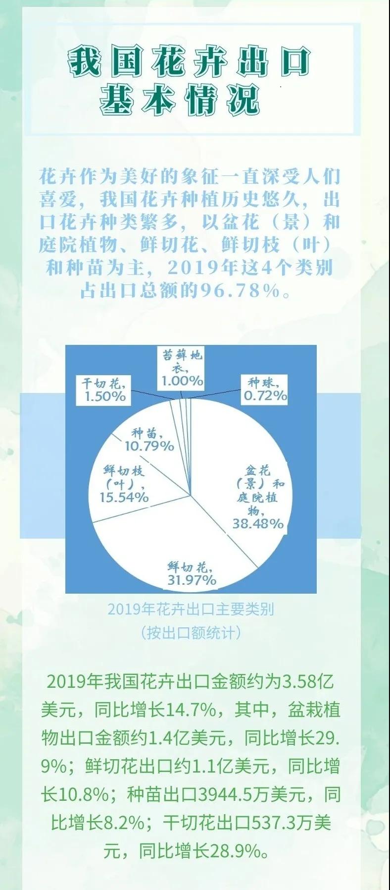 出口外貿(mào)代理